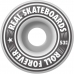 Скейт Компліт REAL OVAL OUTLINERS LG 8.0