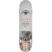 Скейт Комплит GLOBE G1 VARSITY Melbourne 8.125