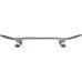 Скейт Комплит GLOBE G1 VARSITY Melbourne 8.125