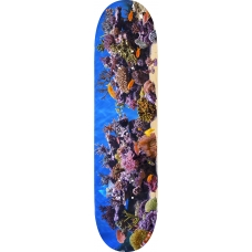 Дека для скейта MINI LOGO Fish Tank SKATEBOARD DECK 8.0"